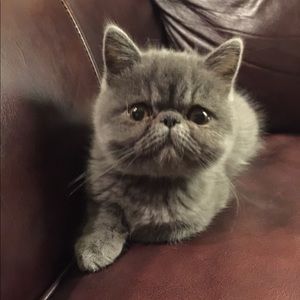 Meet your Posher, Katherine